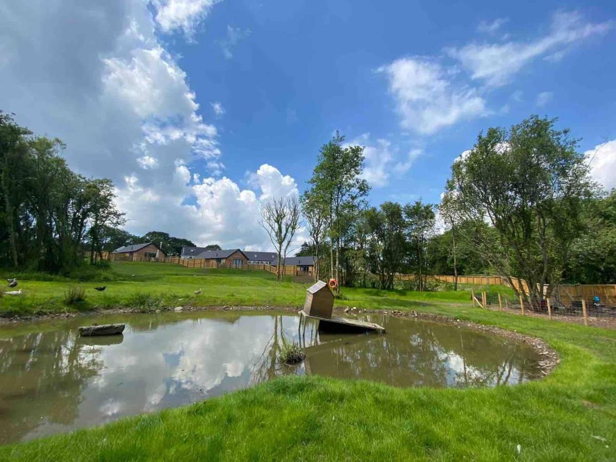 Cedar Cottage Tenby Zewnętrze zdjęcie